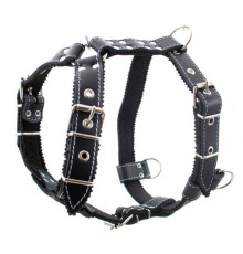 Нагрудник кожаный "Стаффорд" для собак