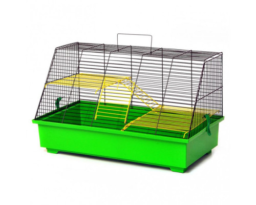 Клетка Крысёнок