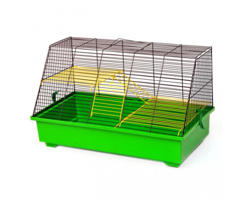 Клетка Крысёнок