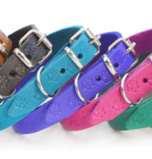 Нашийники шкіряні з тисненням ОТ "Лапки"