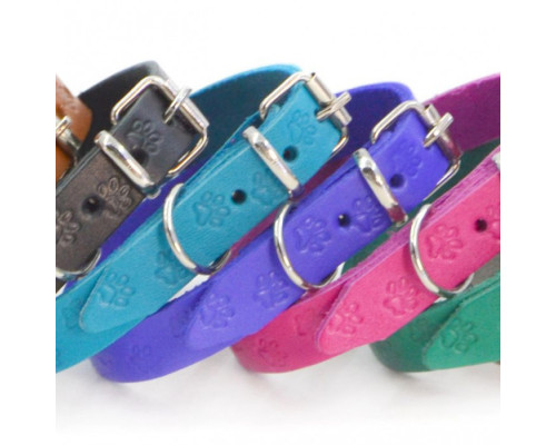 Нашийники шкіряні з тисненням ОТ "Лапки"