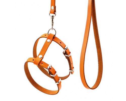 Комплект шкіряний “Кіт” на планшеті