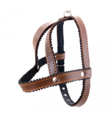 Нагрудник шкіряний "Пекінес-1", "Пекінес-2"