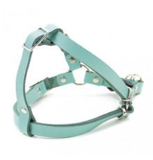 Нагрудник “ВЕСНА” шкіряний