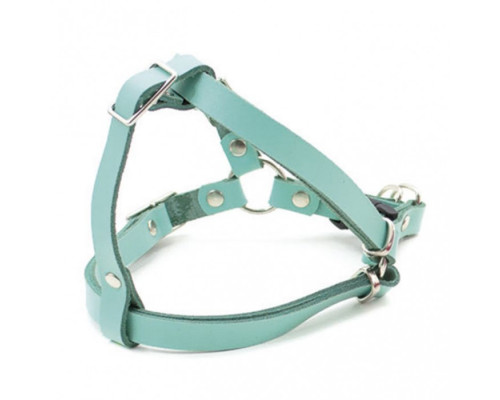 Нагрудник “ВЕСНА” шкіряний