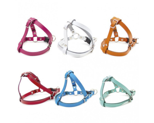 Нагрудник “ВЕСНА” шкіряний