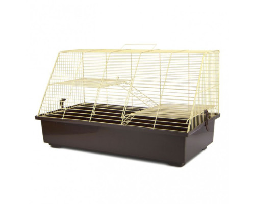 Клетка Крысёнок